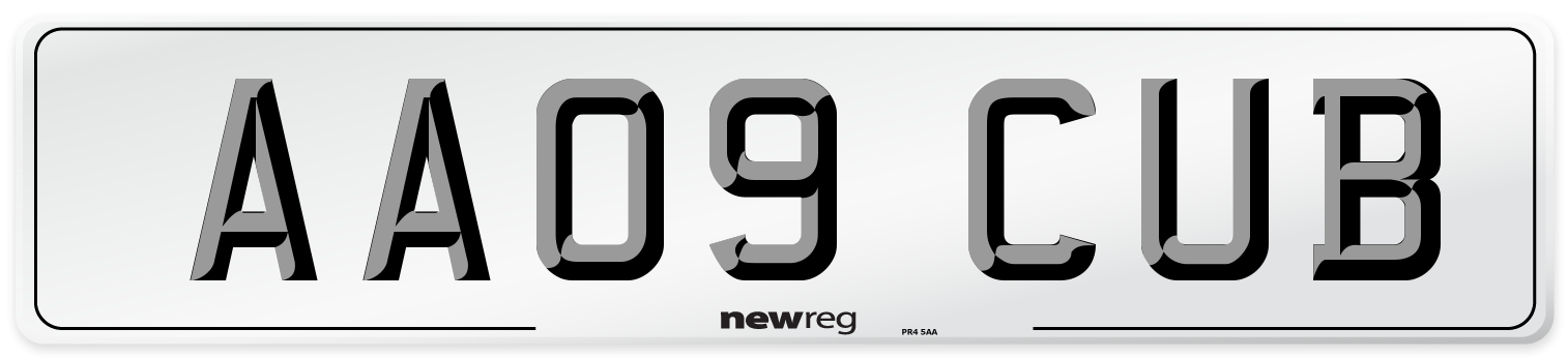 AA09 CUB Number Plate from New Reg